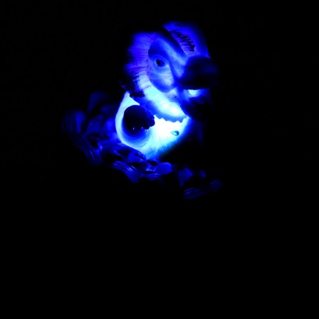 Dinosauri mocking light, sound, species mix-3