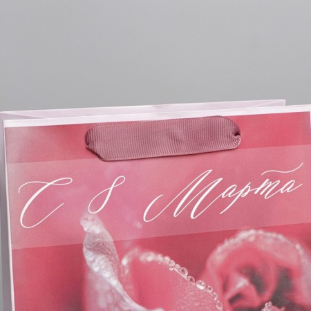 Gift package laminated, packaging, "freshness", MS 18 x 23 x 10 cm-2