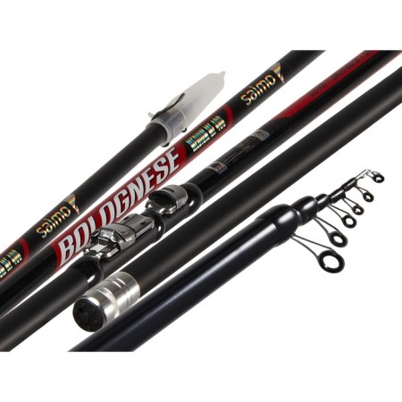 Salmo Diamond Bolognes Medium MF, test 5-20 g, length 4 m.-1