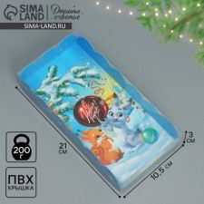 Box for confectionery products with PVC lid 