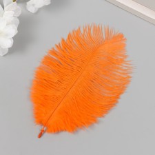 Decorative ostrich 