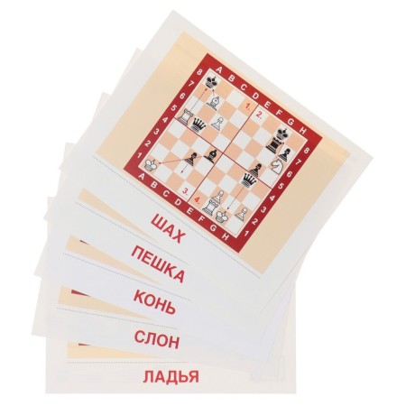 Demonstration pictures "Chess" 16 pieces, 17x22 cm-3
