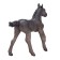 Figure Konik "Arabian foal, Voronoy"