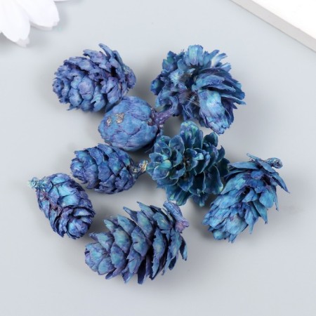 Decor for creativity "pine blue" size 2-4 cm-2