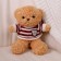 Soft toy "Bear" in a jacket, 28 cm, beige color