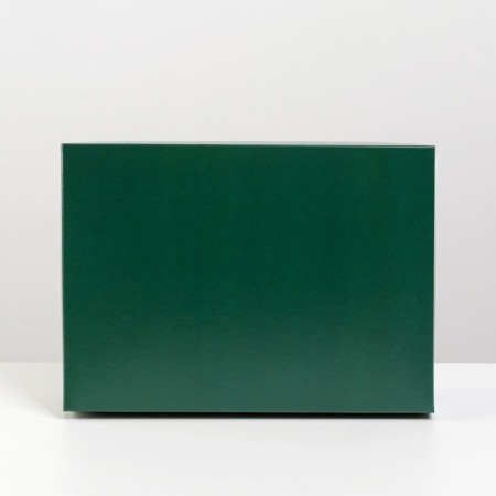 Gift folding box, packaging, "Emerald", 21 x 15 x 7 cm-1