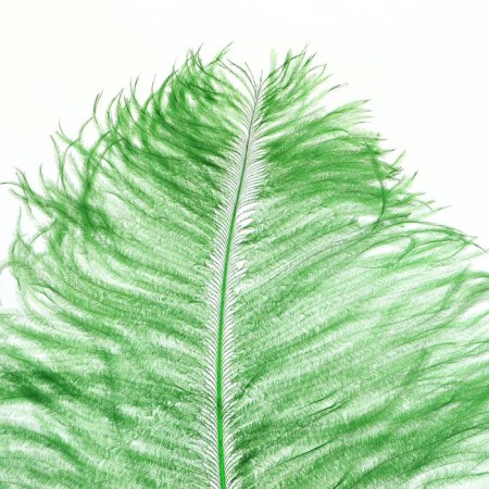 Feather for decor, length from 45 to 60 cm, green color-1