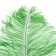 Feather for decor, length from 45 to 60 cm, green color
