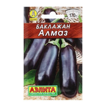 Aelita Equita's Electheaz Eggplant seeds, compact, without bitterness-2