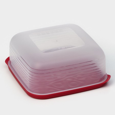The container is plastic with the lid Flexo, 2.7 l, the color is red-3