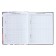 Diary for grades 1-4 "back to school. Collage", solid cover, glossy lamination, 48 sheets