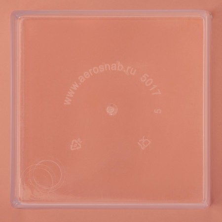 Plastic disposable form for cube buffet, 60 ml, 4.7 × 4.7 cm, transparent color-10