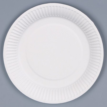 Disposable plate paper "heavenly", plain, 18 cm-4