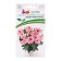Eustoma seeds "Lady Margrata", F1, dwarf, terry, delicate pink, 5 pcs