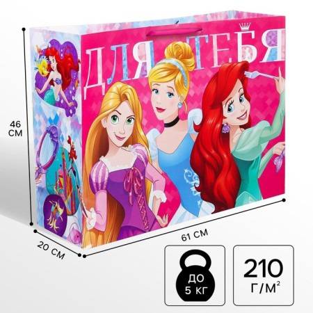 Gift package "For you" 61x46x20 cm, packaging, princesses