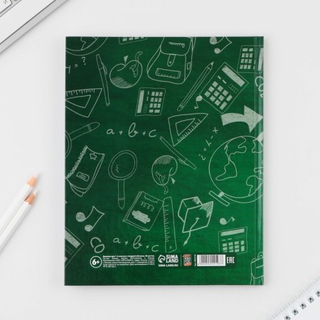 School 1-4 Diary “September 1: Smart Dog”, solid cover 7BC, glossy lamination, 48 sheets-8