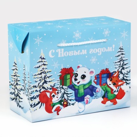 Package - Box "Happy New Year", animals, 23 x 18 x 11 cm, new year-2