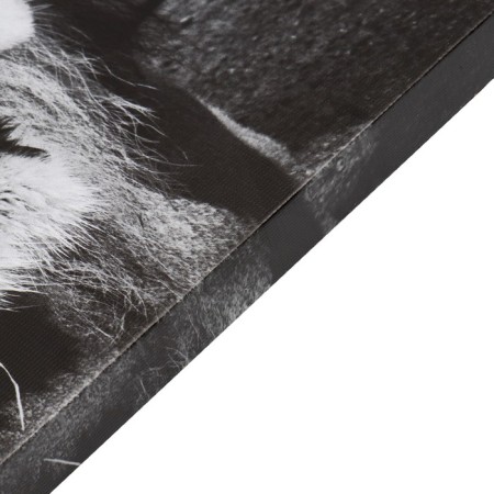 Khlest picture on the subframe "Lion Family" 50x70 cm-1