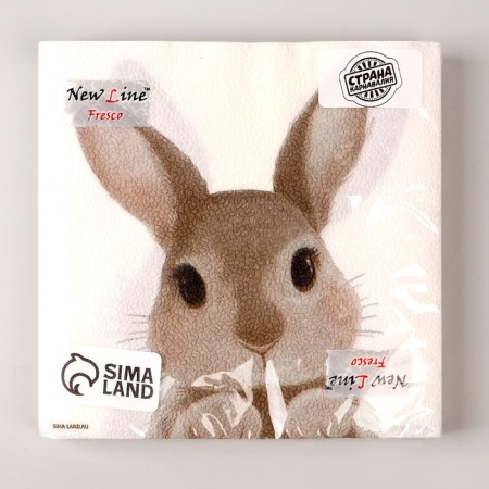 Napkins single -layer “rabbit”, 33 x 33 cm, set 20 pieces-7