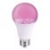 LED phytolamps, for plants, A60, 11 W, 220 °