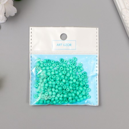 Round beads 6/0 "turquoise" 20 g-2