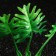 Artificial aquarium plant, 4 x 6 x 16 cm