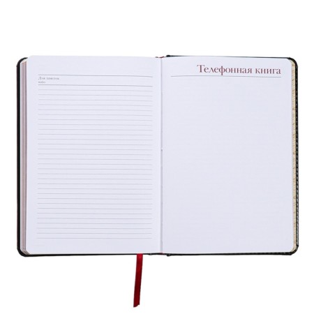Diary of a low -end A5+, 136 sheets of Sidney Nebraska, solid cover, artificial leather, gold cut, black-14