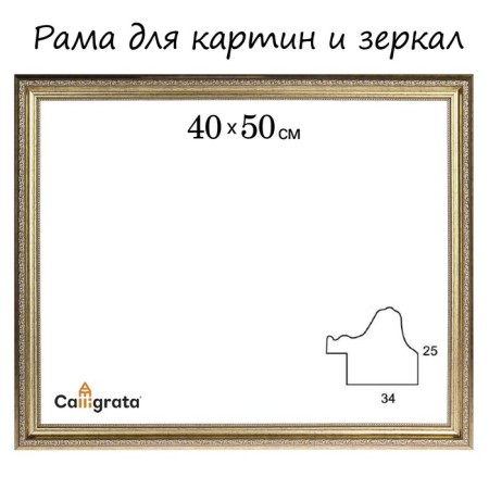 Frame for paintings (mirrors) 40 x 50 x 3.3 cm, plastic, dorothy, silver