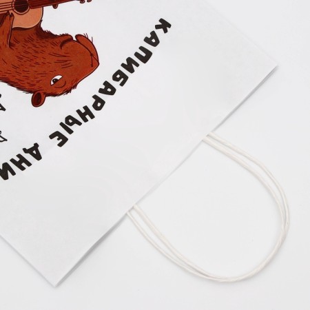 Gift paper package, "Capibar Days", 24 x 10.5 x 32 cm-2