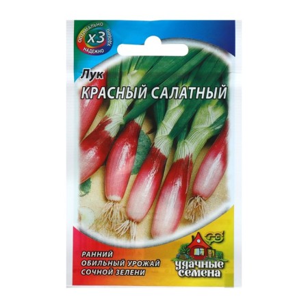 Onion seeds on greens are on a red lettuce, 0.5 g Series Hit X3-4