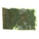 Feed Aqua menu "Fitos" for fish, 11 g