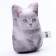 Antistress toy "Kitten gray"