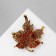 Brooch "Leaf" Maple, brown color in black gold