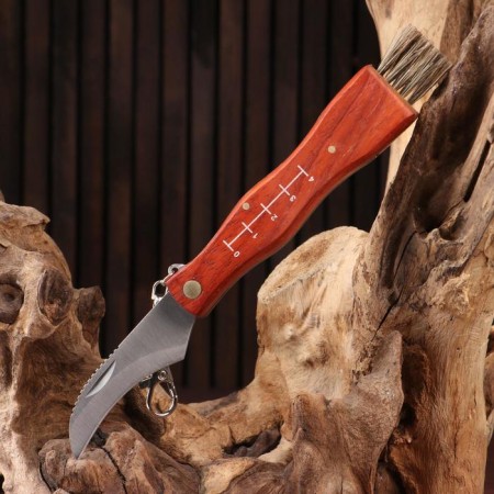 Knife "Mushroom Man", with a brush