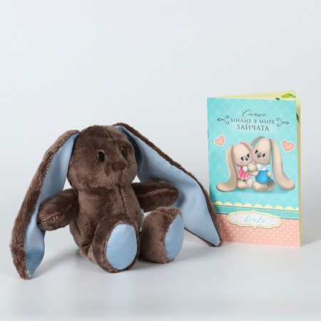 Soft toy "Bunny LU", with a book, boy-3