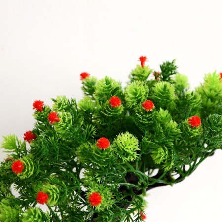 Bonsai in the pot "Werelp tree" 12x17 cm, mix-1