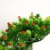 Bonsai in the pot "Werelp tree" 12x17 cm, mix