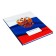 Diary for grades 5-11, 48 sheets of "Russian schoolchild No. 4", hard cover, glossy lamination, block 60 g/m2