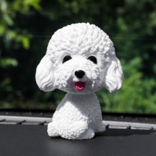 Dog on a car panel shocking his head, poodle