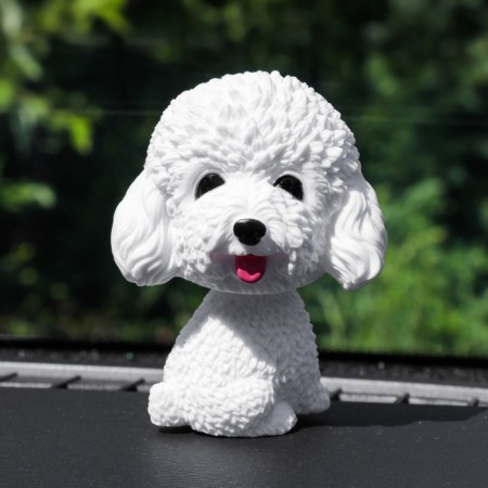 Dog on a car panel shocking his head, poodle