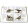 Illustrated Atlas. Dinosaurs