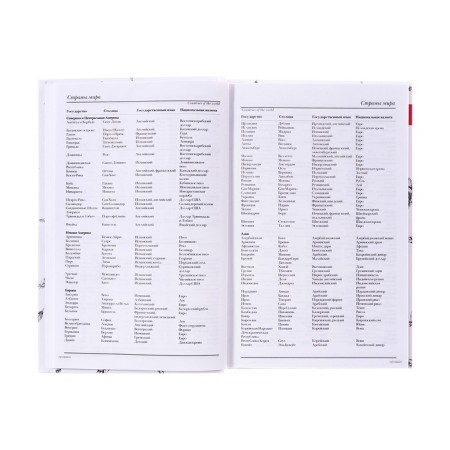 Diaumer of the Leduced A5, 128 sheets in the cage "Contrasts", solid cover, glossy lamination-9
