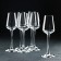 Set of glasses "Sandra", 65 ml, 6 pcs