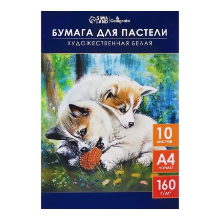 A4 pastel paper, 10 sheets "puppies", block 160 g/m2, in the folder-1