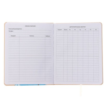Universal diary for grade 1-11 Smile, solid cover, artificial leather, silk-screen printing, lies, 80 g/m2-3