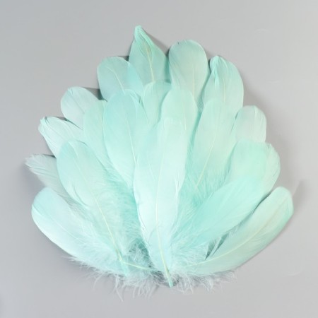 A set of goose feathers 13-18 cm, 20 pcs, sea wave-1