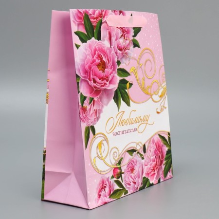 Gift Package Laminated, Packaging, “Educator”, ML 21 x 25 x 8 cm-3
