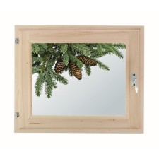 Window 50x60 cm, 