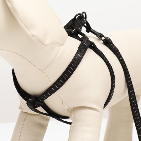 The set is two-layer, leash 130 x 1 cm, og 25-38 cm, black-1