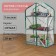 Greenhouse-stella, 3 shelves, 110 × 65 × 40 cm, metal frame d = 16 mm, cover cover 100 μm
